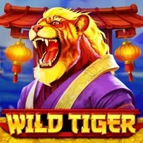 DoubleStar SLOT JILI Login