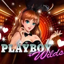 Slots Hammer Casino: Login E Cadastro